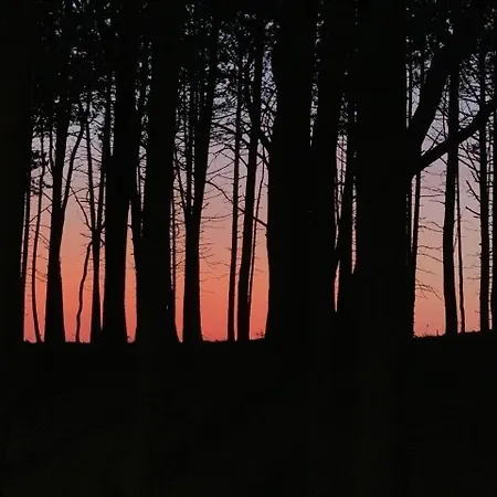 Gemuetliches, Strandnahes In Dwirzyno