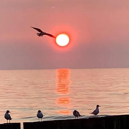 Gemuetliches, Strandnahes In Dwirzyno 펜션