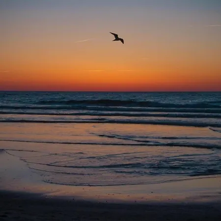 펜션 Gemuetliches, Strandnahes In Dwirzyno *